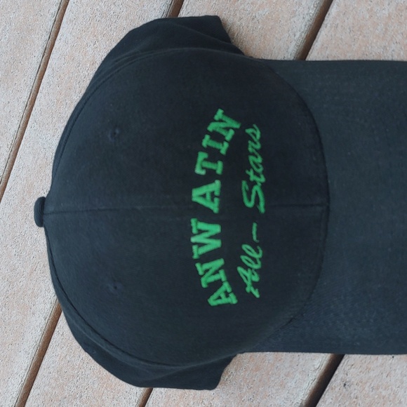 Anwatin Middle School All Stars Embroidered FlexFit Baseball Hat Cap L-XL - Picture 2 of 9